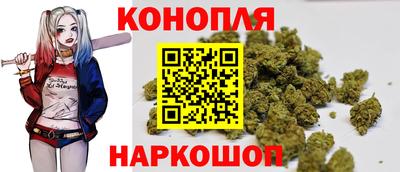 СК Краснодар