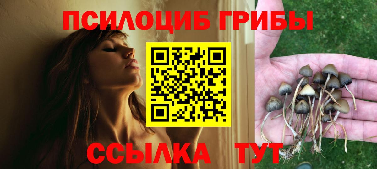 Псилоцибиновые грибы GOLDEN TEACHER  Вход с VPN  Кирово-Чепецк 